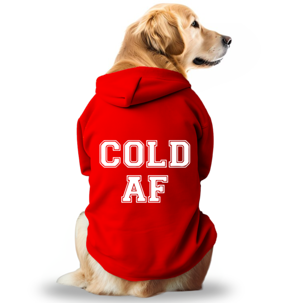 Dostify Dog Hoodie - Cold AF