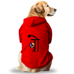 Dostify Dog Hoodie - Bro