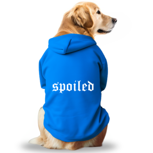 Dostify Dog Hoodie - Spoiled