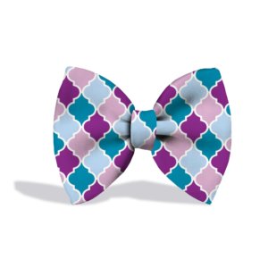 Dostify Colourful Pattern Bow Tie for dog