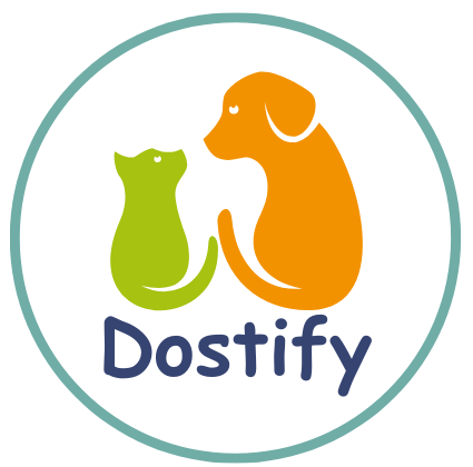 Dostify